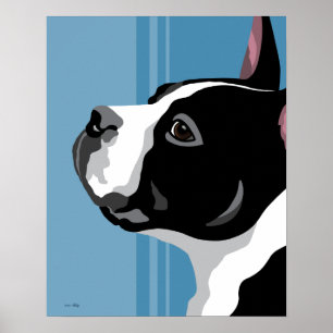 Impresiones de Boston Terrier