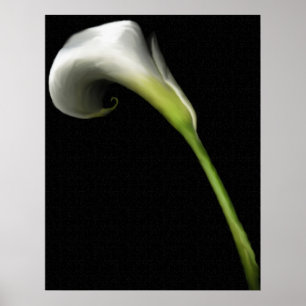 Impresiones de Calla Lily