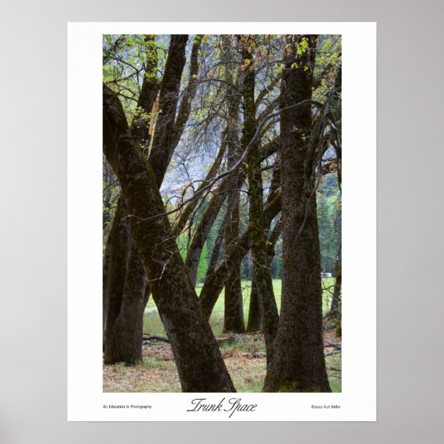 Impresiones de espacio de troncos (Frente)