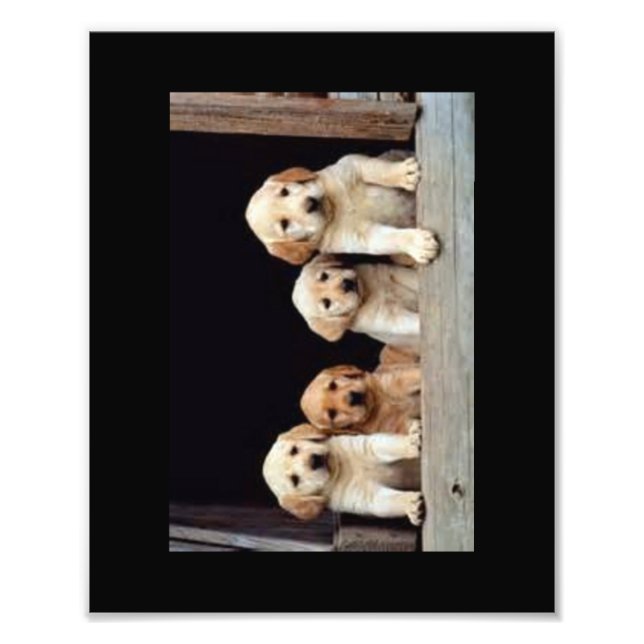 IMPRESIONES DE FOTO DE personalizado 8 X 10 (Frente)