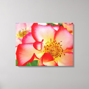 Impresiones de fotografía de jardín floral de rosa