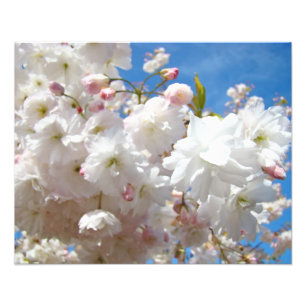 Impresiones de fotografía de naturaleza floral Flo