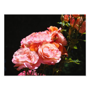 Impresiones de fotografía de rosas Ramo de rosas r