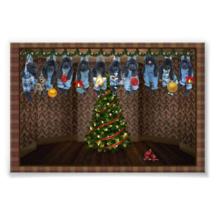 Impresiones de fotos navideñas colgadas