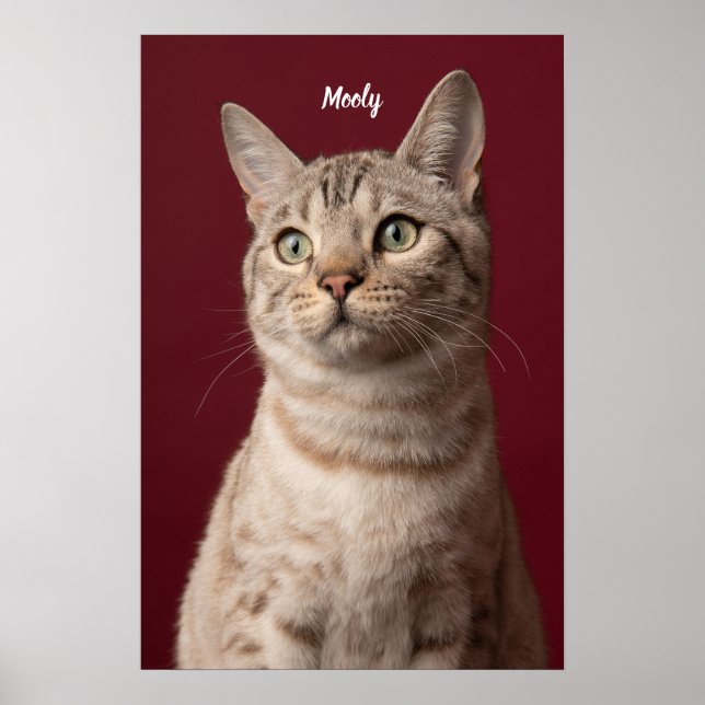 Impresiones de fotos personalizadas con el nombre  (Frente)