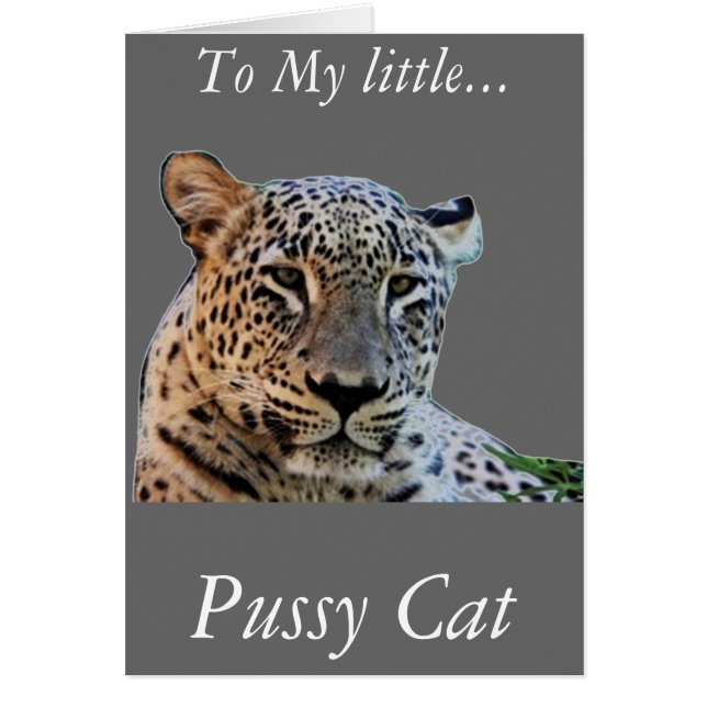 Impresiones de leopardo (Frente)