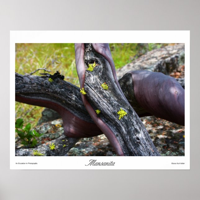 Impresiones de Mansanita (Frente)