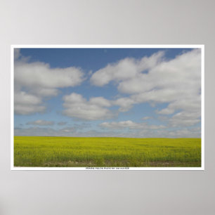 Impresiones de paisajes de Manitoba Prairie Fields