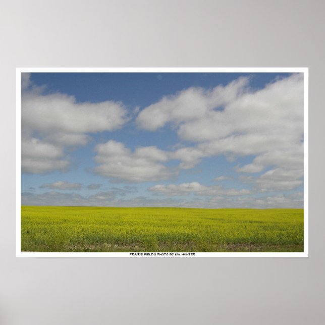 Impresiones de paisajes de Manitoba Prairie Fields (Frente)