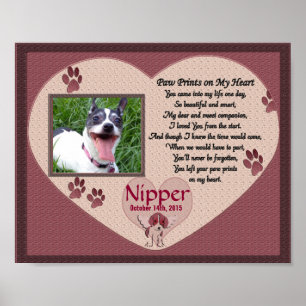 Impresiones de pata en el monumento a mi perro del