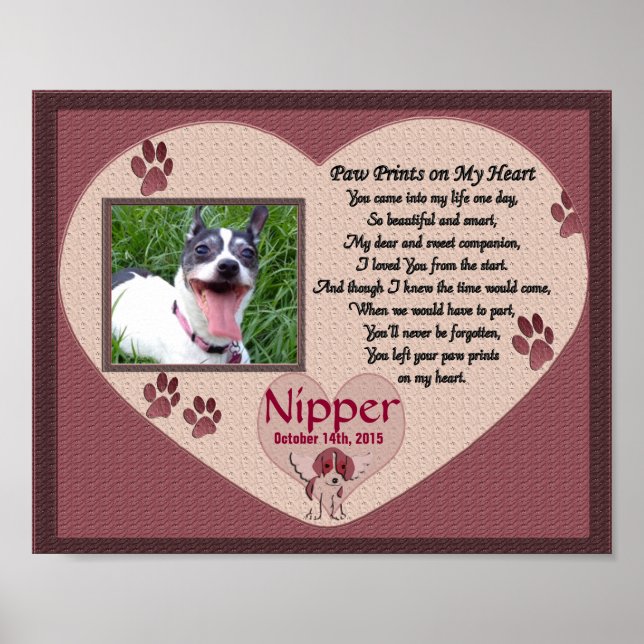 Impresiones de pata en el monumento a mi perro del (Frente)