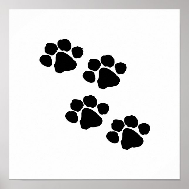 Impresiones de pintura animal (Frente)