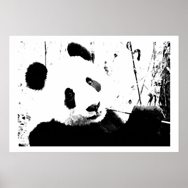 Impresiones de Posters de Panda blanco y negro (Frente)