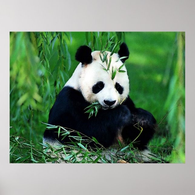 Impresiones de Posters Panda - Poster de hojas de  (Frente)