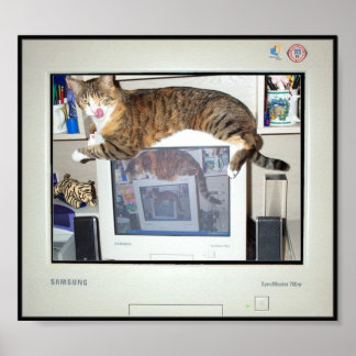 Impresiones de salvapantallas