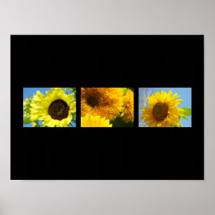 Impresiones Deco Art Botánico Floral Girasoles ama