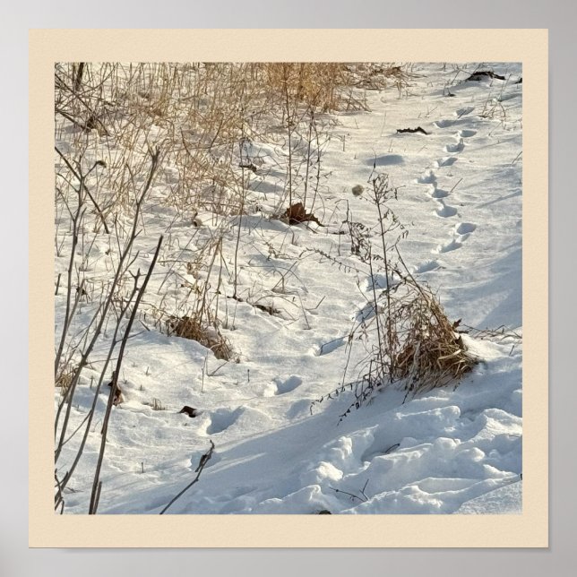 Impresiones en el Poster de Nieve (Frente)