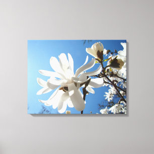 Impresiones en lienzo de arte floral de cielo azul