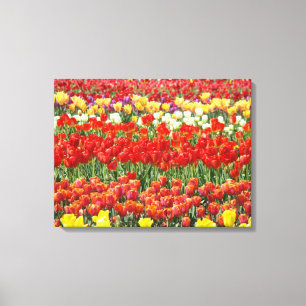 Impresiones en lienzo de fotografía Flores de Tuli