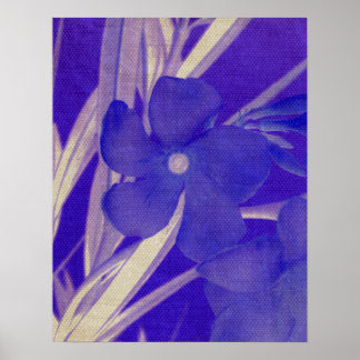 Impresiones Florales Azules