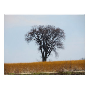 Impresiones fotográficas de "Nutridas en Derramami