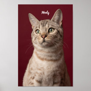 Impresiones fotográficas personalizadas de perros