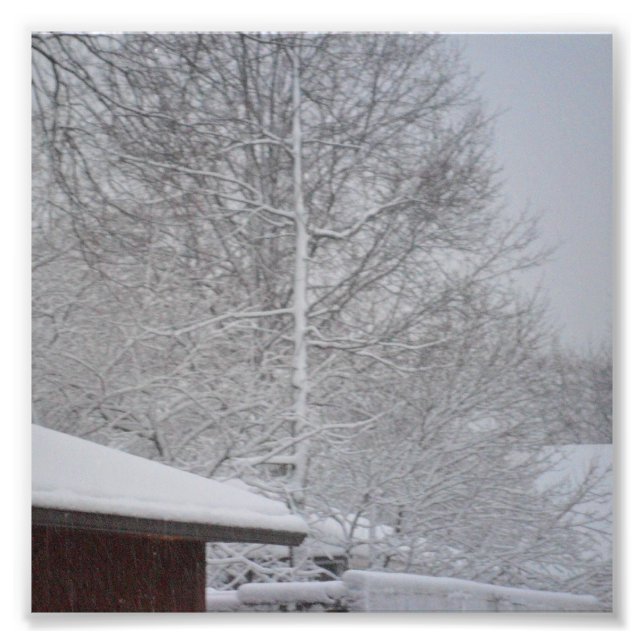 IMPRESIONES FOTOGRÁFICAS personalizados 6 X 6 (Frente)