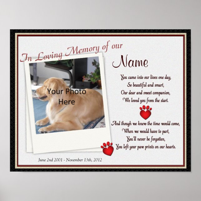 Impresiones sobre mi Mascota en el corazón - Gato  (Frente)