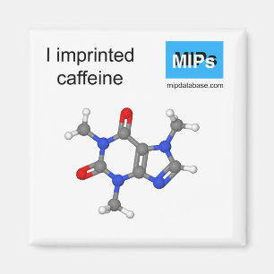 Imprimí bolas de imán de cafeína y palo