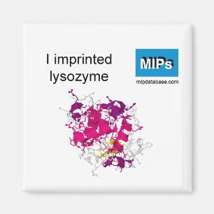 Imprimí lisozima imán