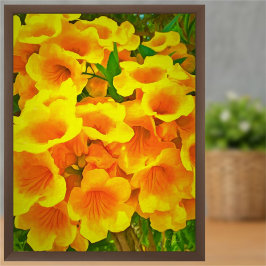 Imprimir arte de Copa de Oro