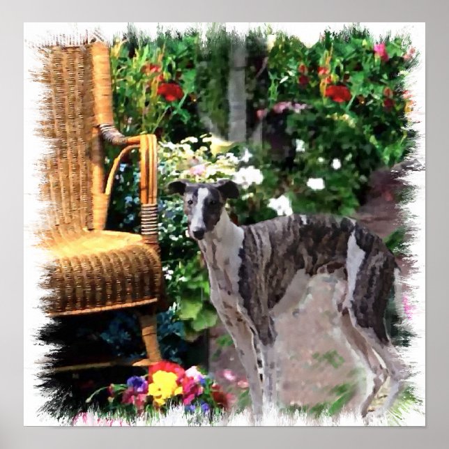 Imprimir arte de Greyhound (Frente)