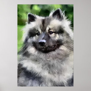 Imprimir arte de Keeshond