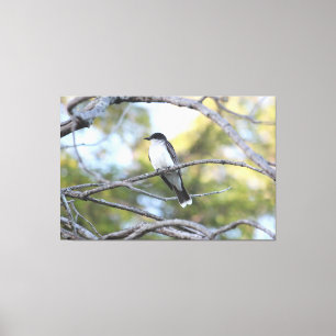 Imprimir arte de pájaros