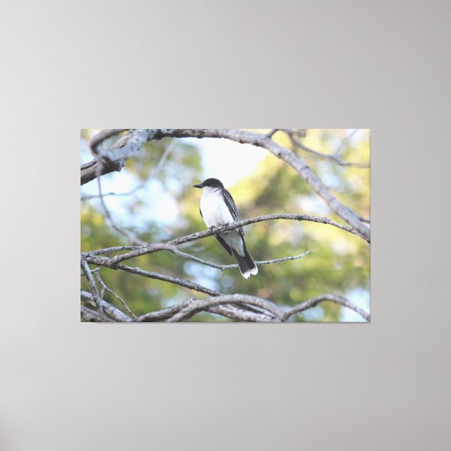 Imprimir arte de pájaros (Anverso)