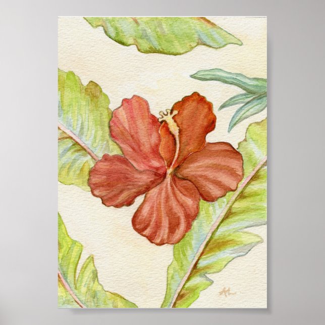 Imprimir arte hibiscus 5x7 (Frente)