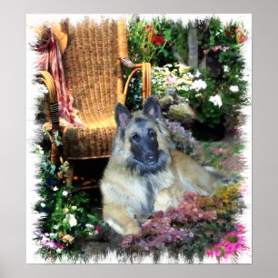 Imprimir arte Tervuren en Bélgica