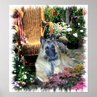 Imprimir arte Tervuren en Bélgica