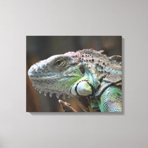 Imprimir lienzo con cabeza de colorida iguana