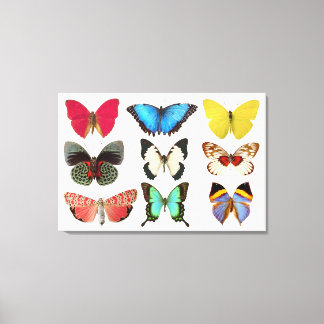 Imprimir lienzo de mariposas