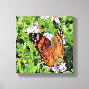 Imprimir lienzo floral de mariposa