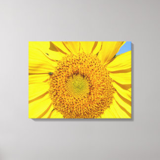 Imprimir lienzo - Volar sobre girasol