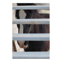 Imprimir, Valor del papel del póster (semi brillo)