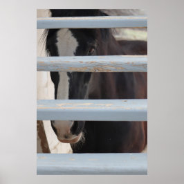 Imprimir, Valor del papel del póster (semi brillo)