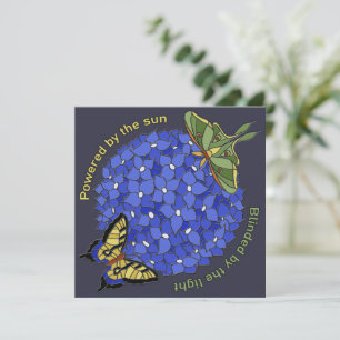 Impulsado por el sol - Cegado por la luz Tarjeta