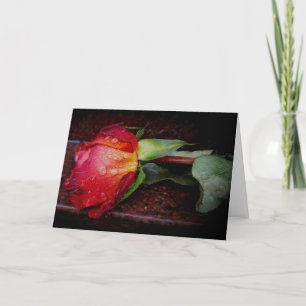 "In Memoriam:" Tarjeta de solidaridad