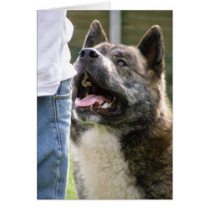 Inca que mira para arriba