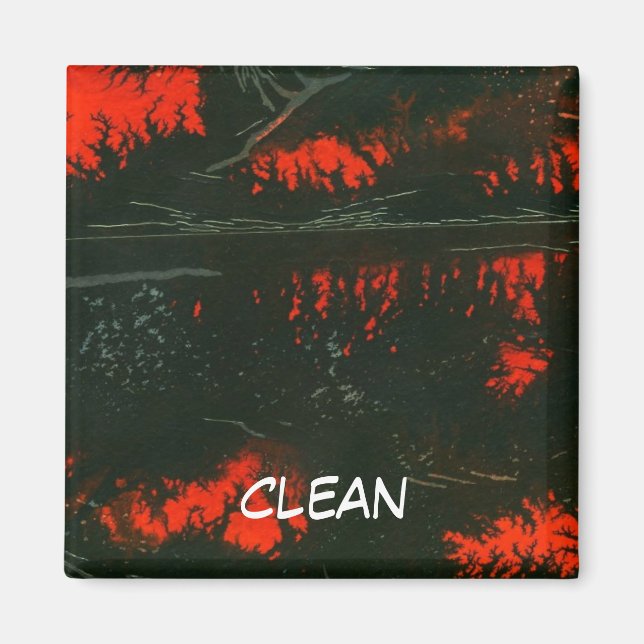 "Incendio de ciénaga #1" Resumen del Imán de estad (Frente)