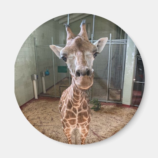 Incendioso imán (Frente)