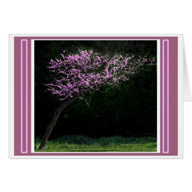 Inclinación hacia la primavera (Anverso (Horizontal))